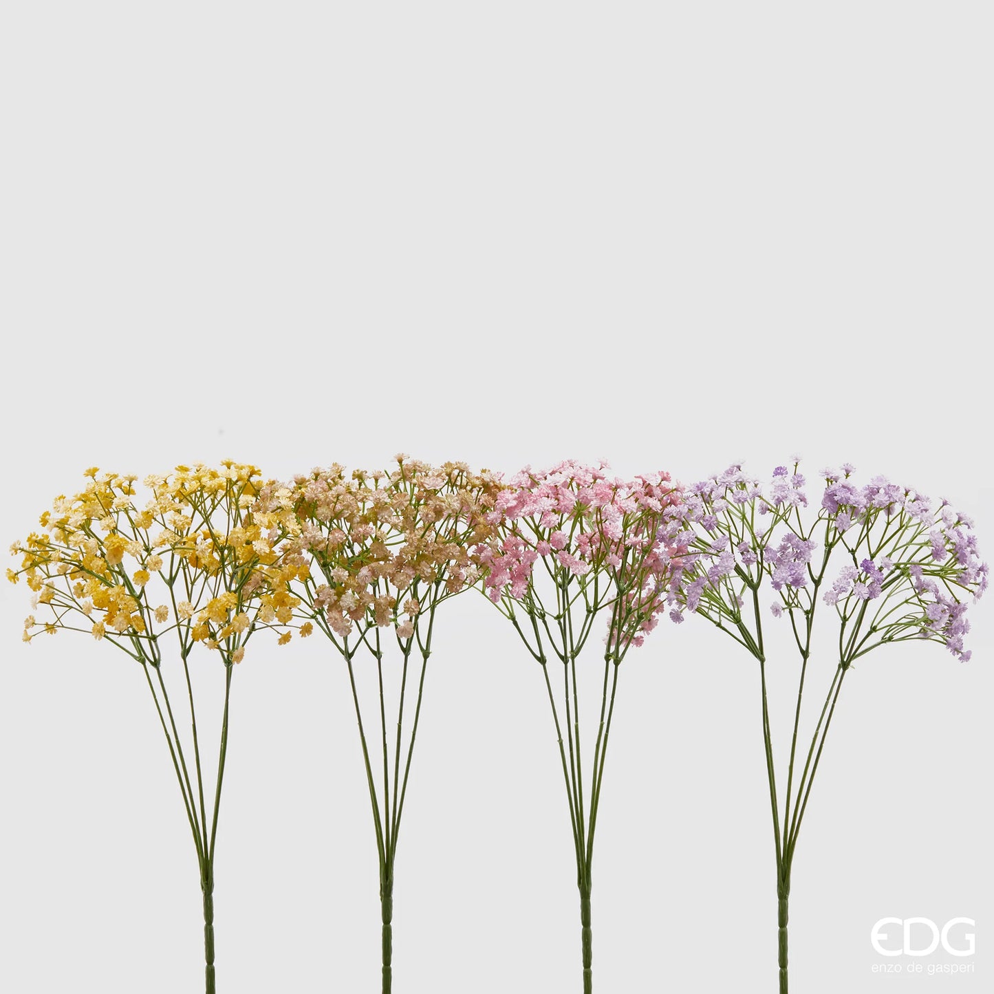 Cespuglio Di Gypsophila EDG