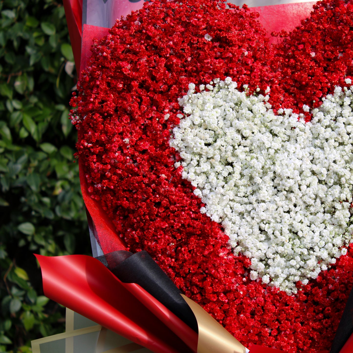 Cuore di Gypsophila - Grande