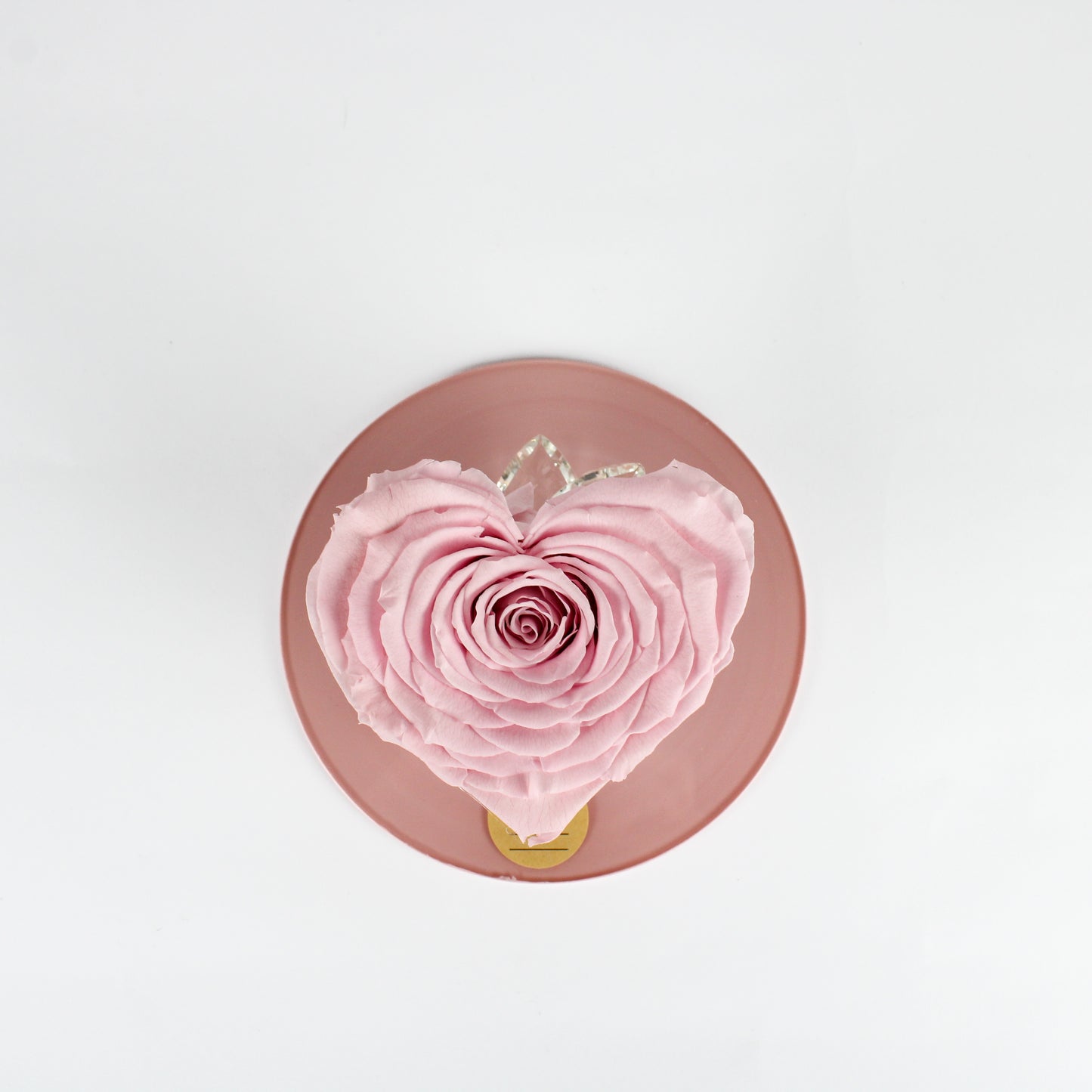 Box Rosa Stabilizzata a forma di Cuore