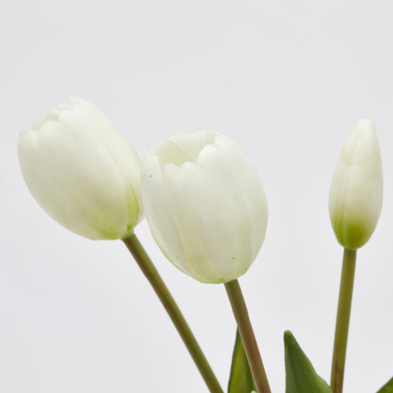Bouquet Di Tulipani Bianco EDG