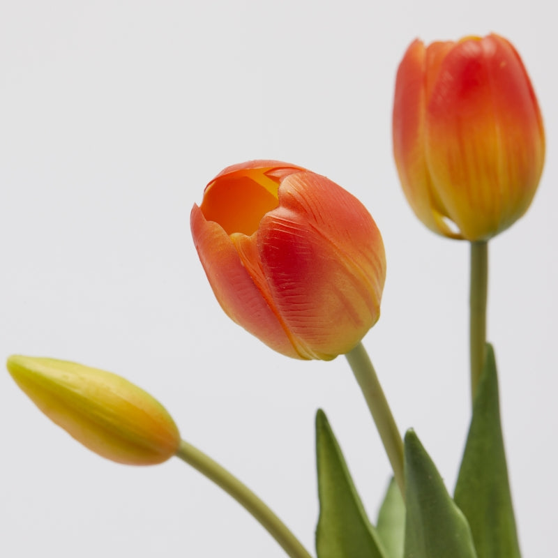 Bouquet Di Tulipani Arancio e Giallo EDG