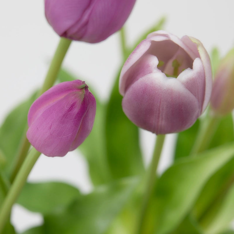Bouquet Di Tulipani Lilla EDG